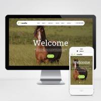 养马场畜牧业英文网站pbootcms模板（自适应手机端）马匹饲养养殖场网站模板下载